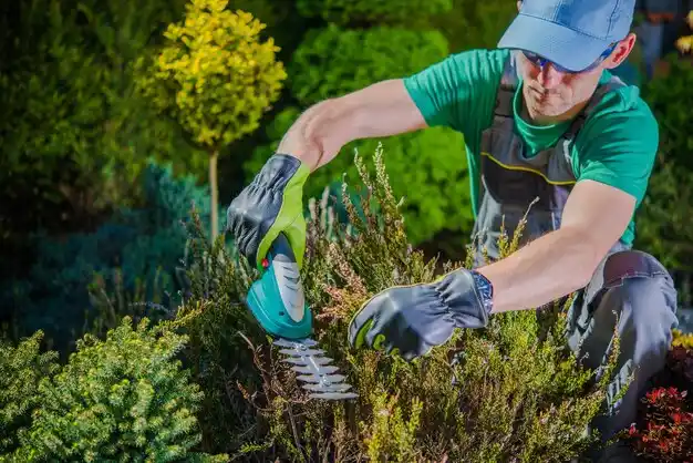 landscaping services Athens